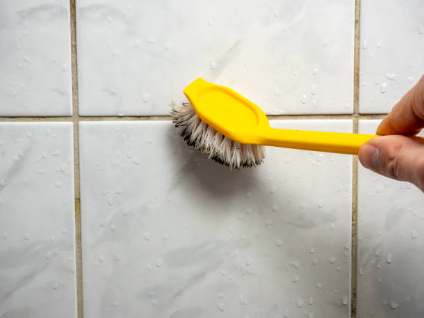 Best Basement Mold Remediation in Gilmer, TX