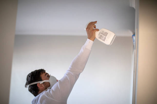 Best DIY Mold Remediation Support Services in Gilmer, TX