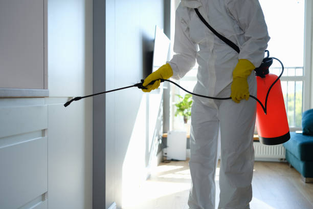 Best Mold Testing and Inspection Services in Gilmer, TX
