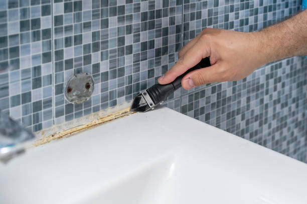 Best Preventive Mold Services in Gilmer, TX